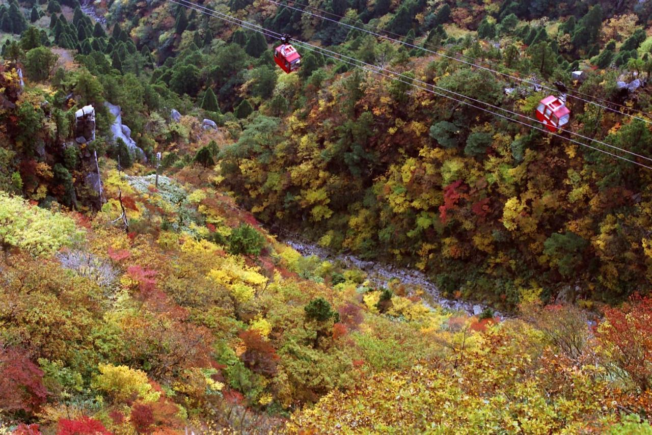 Irodori Koyo Komono Quarto foto